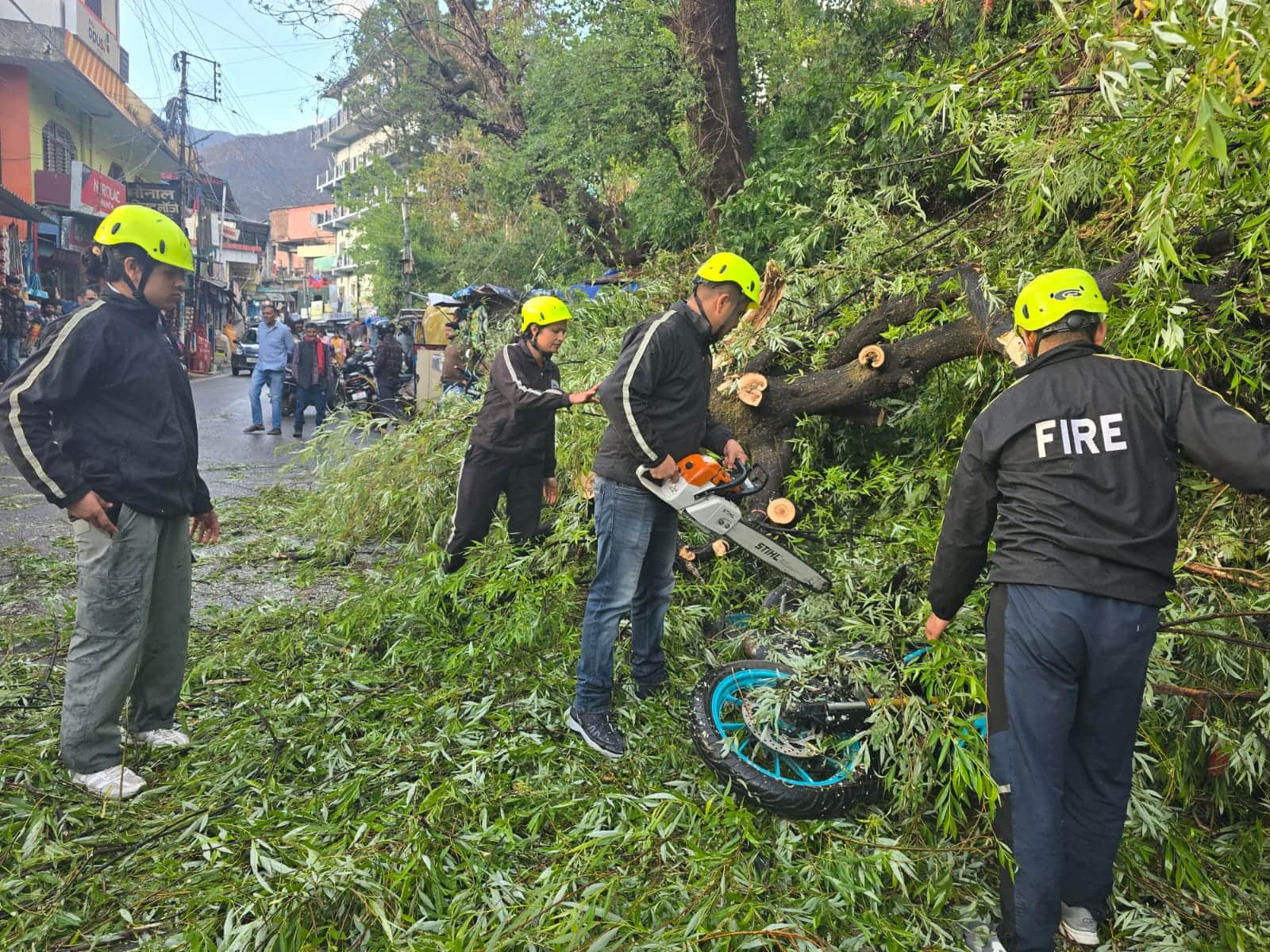 गोपेश्वर में पीएनबी के सम्मुख सड़क पर गिरे पेड़ को हटाने में जुटे फायर सर्विस कर्मी। स्रोत: पुल