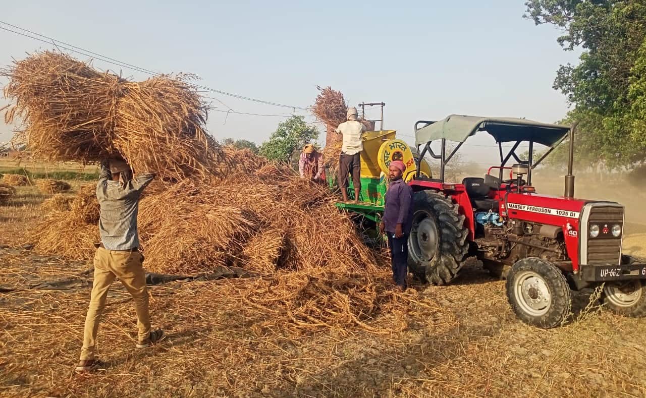 गेहूं की मड़ाई करते किसान। संवाद