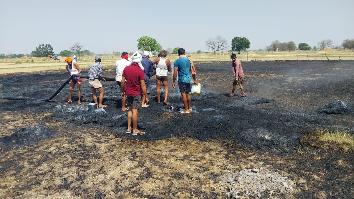 10 bigha wheat crop burnt by fire