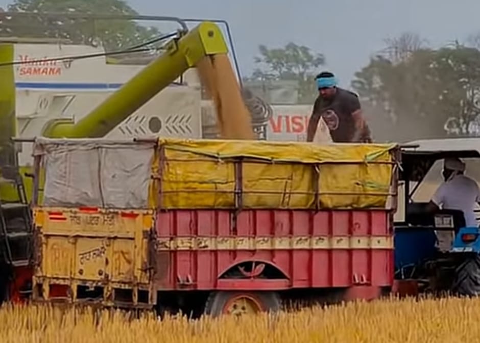 Combine harvesting is currently being carried out with 95 percent of crops.