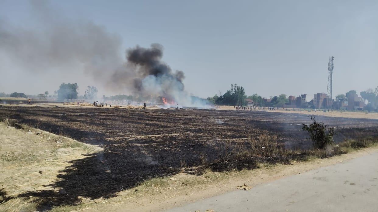 More than 38 bighas of wheat crop burned in the fire