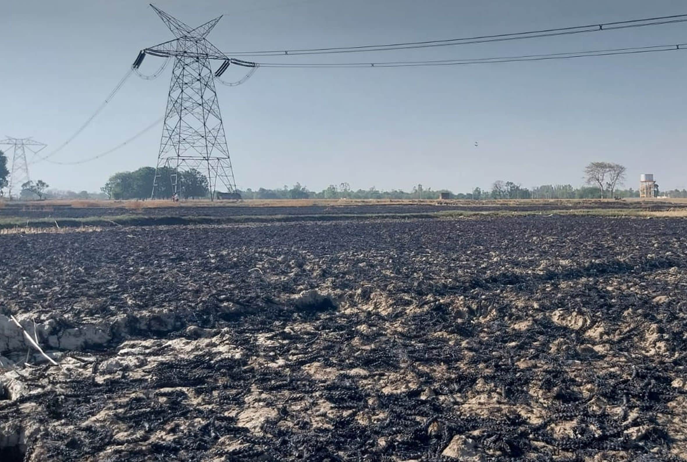 .शाहगढ़ के मुड़ियापुर में लगी आग में जली गेहूं की फसल।-संवाद