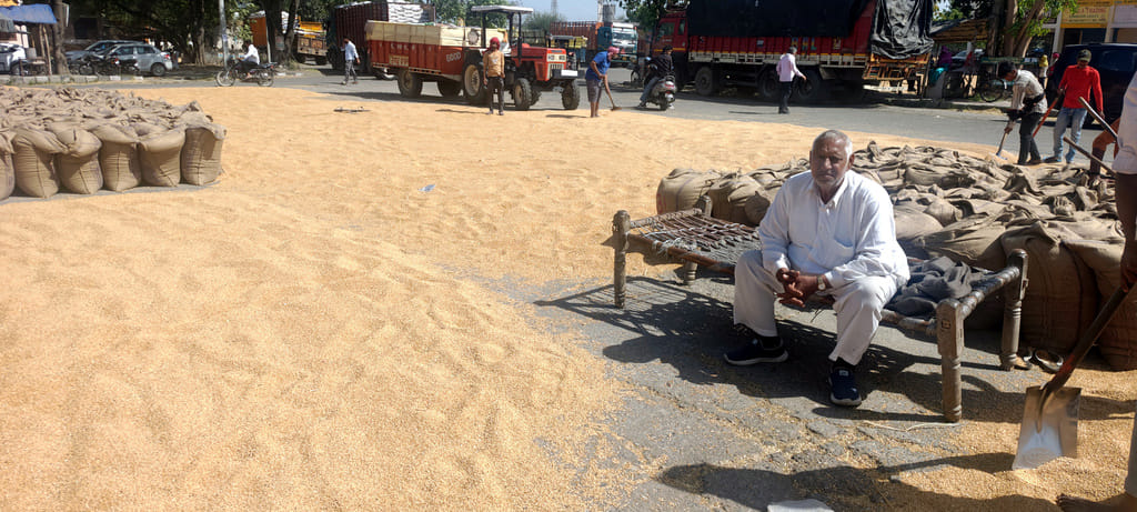 Rain increased the moisture content of wheat, day and night passed in the market