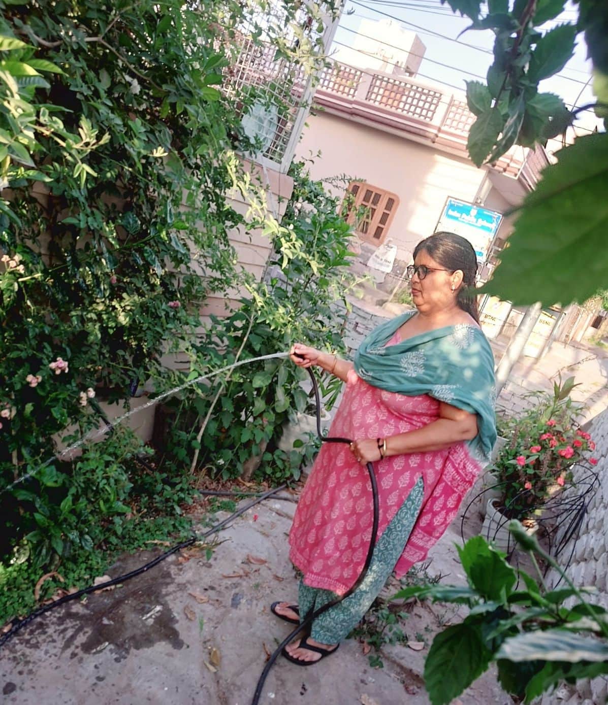 12जेएनडी23: आशीमा सांगवान घर में लगाए गए पौधों की देखभाल करते हुए। संवाद