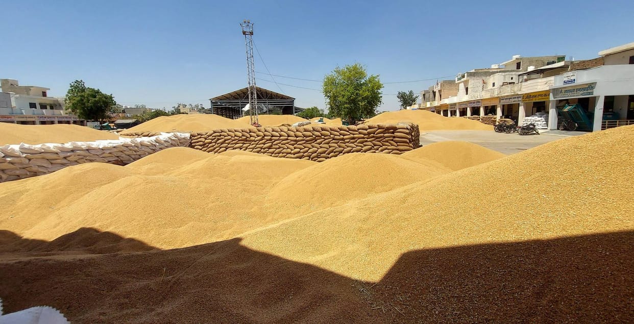 Wheat arrivals surge in Narwana mandis; concerns rise due to lack of lifting.