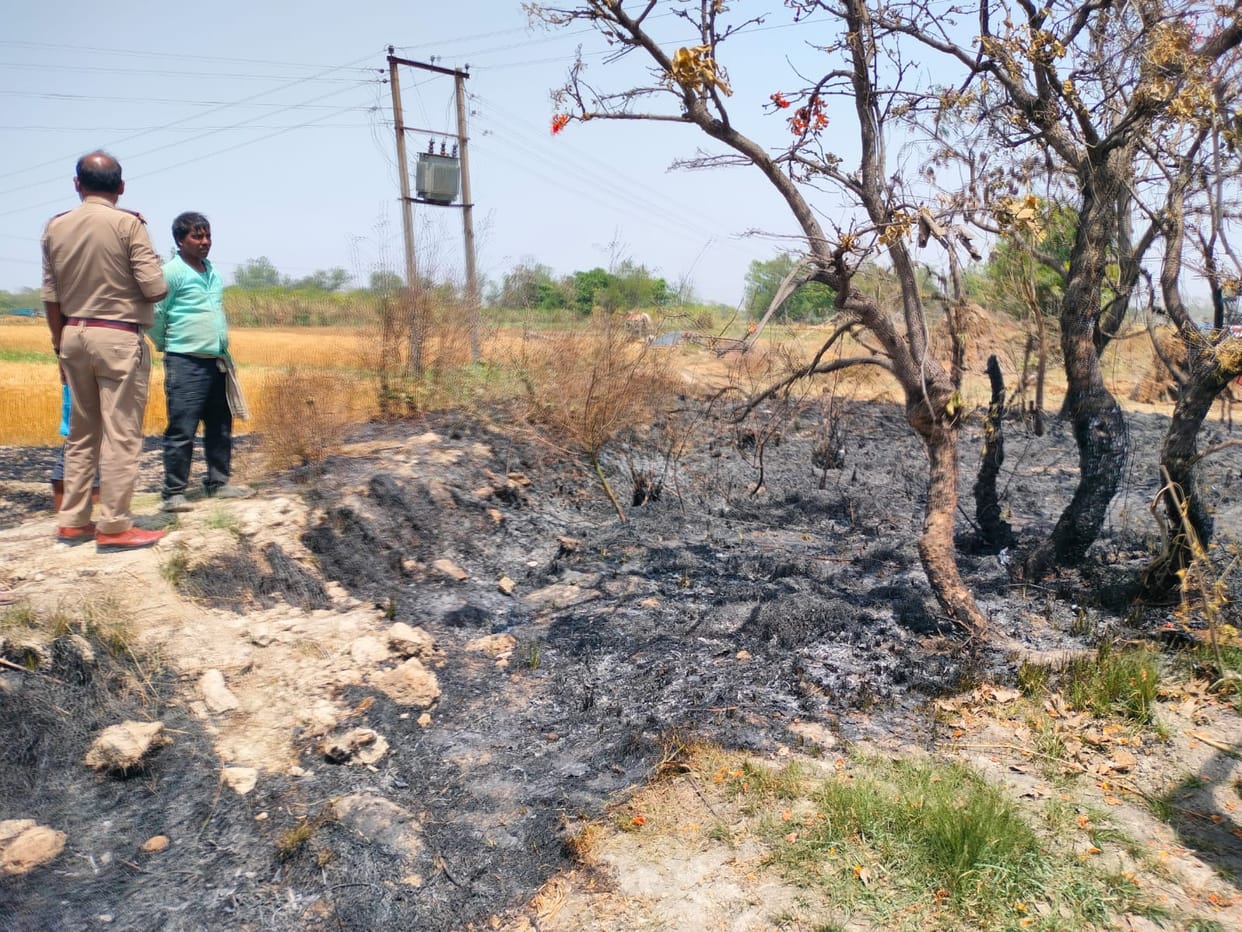 Eight bighas of wheat crop turned to ashes in the fire