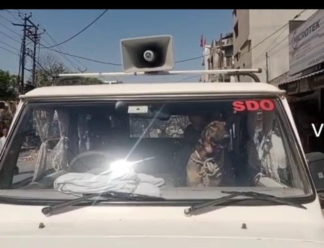 Dog roaming on SDO Likhi's car, video goes viral