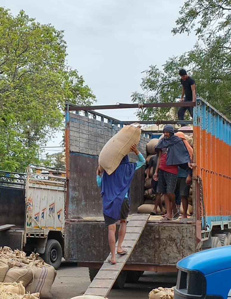 2 lakh quintals of mustard arrived, 70 percent of which was lifted.