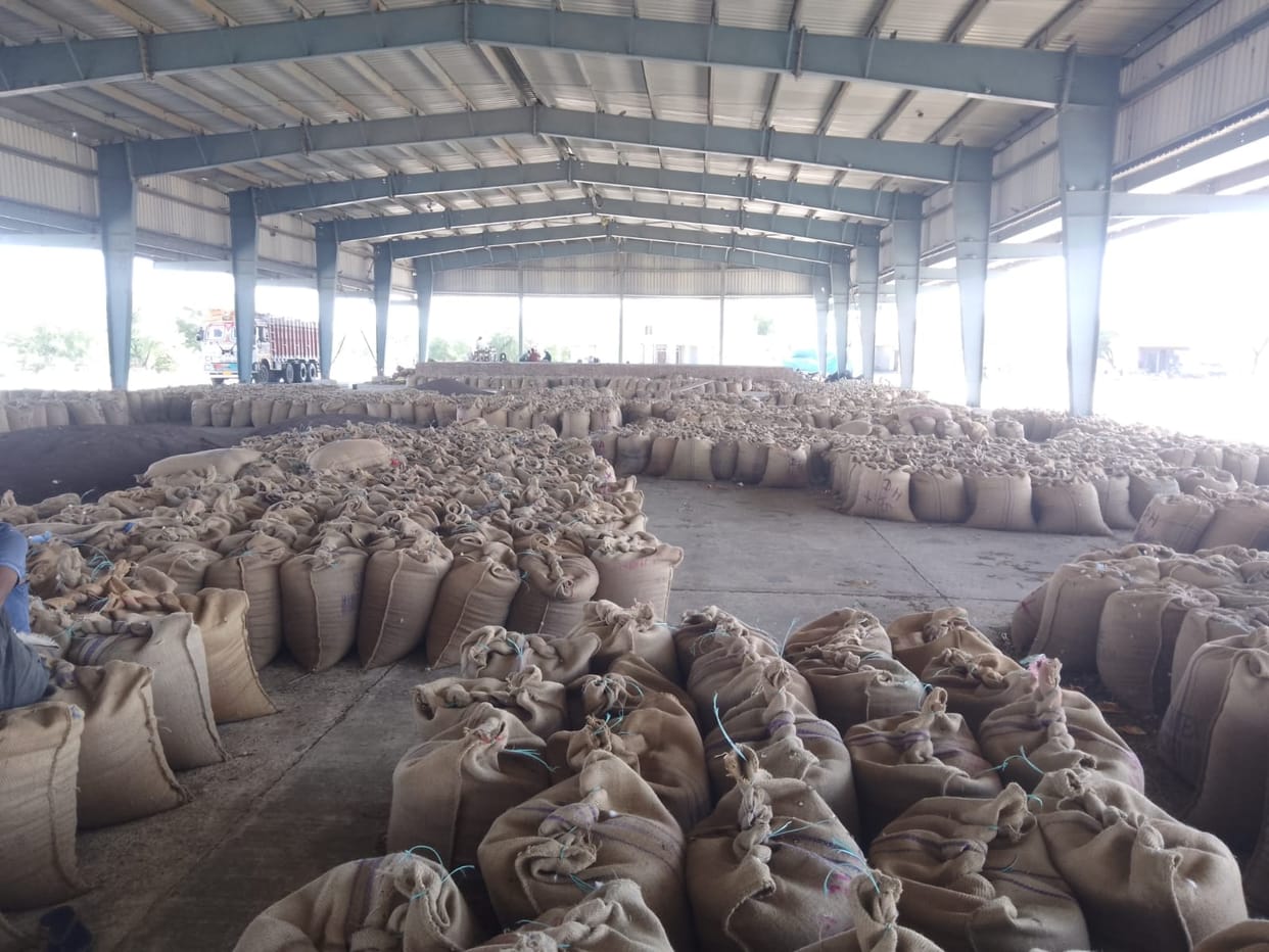 17 days have passed since procurement, but only 15 percent of mustard has arrived in the markets.