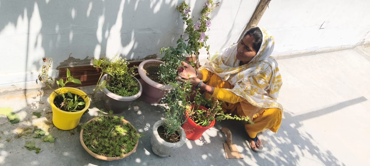 Manju is raising environmental awareness in the village through her garden.