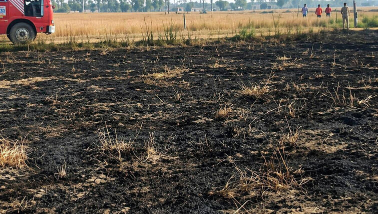 A spark from a high-tension wire set fire to five acres of wheat crop.