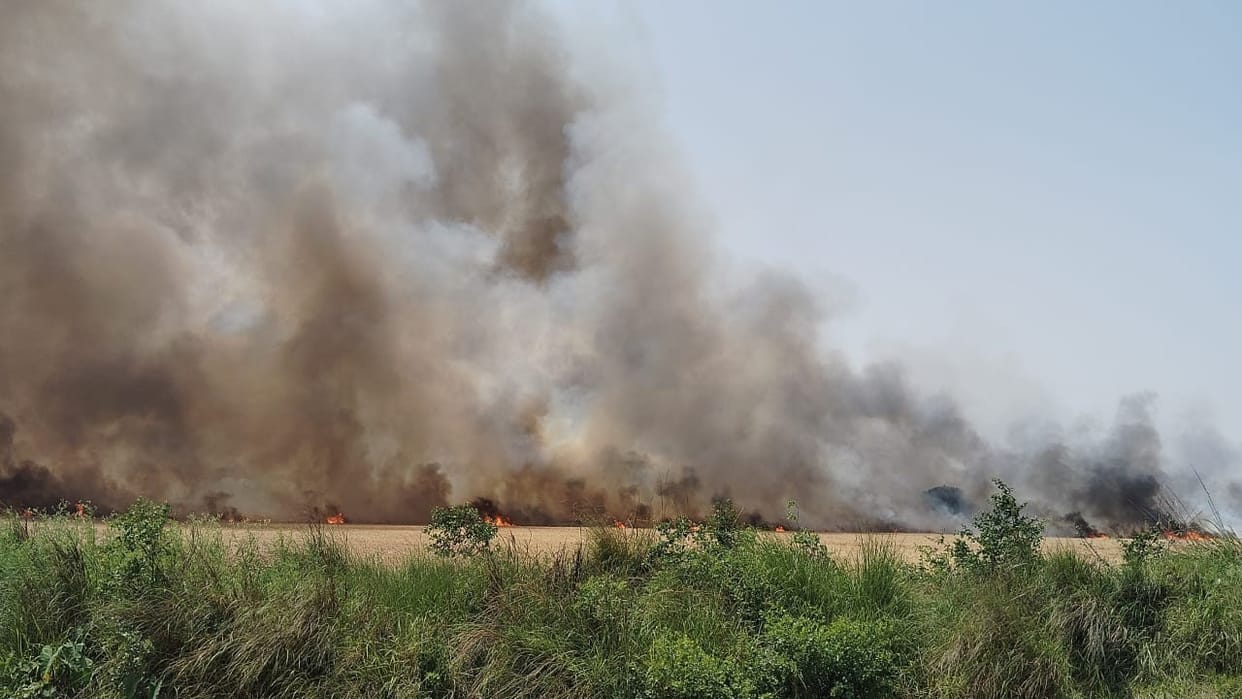 A spark from a thresher reduced 100 acres of wheat crop to ashes, and the sky was filled with smoke.