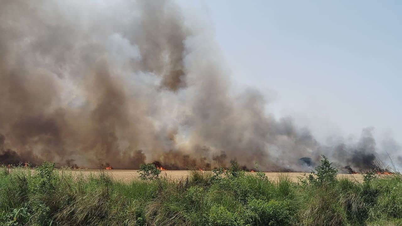 गड़वार थाना क्षेत्र बसनवार गांव में थ्रेसर से निकली चिंगारी से लगी आग में जल रही गेहूं की खड़ी 