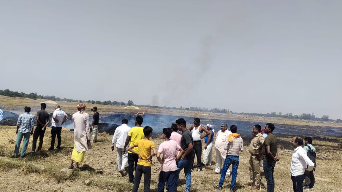 21 bighas of wheat belonging to nine farmers burnt in a fire in the field.