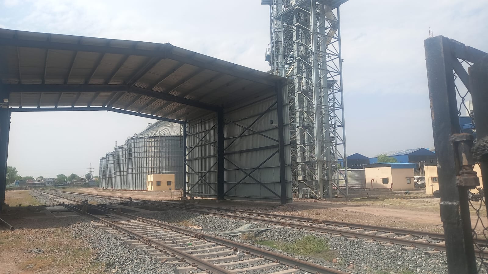 The stockpiles in the division are already full, the crisis of wheat storage is deepening.