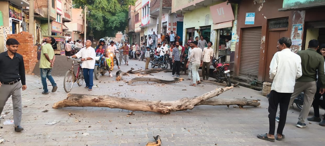 A branch of the Peepal tree broke and fell at the hospital intersection.