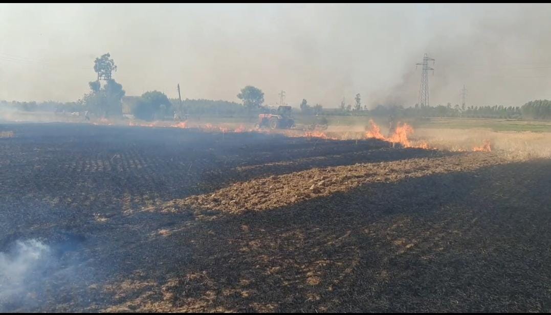 6 acres of wheat crop burnt in the fire, fire brigade arrived late