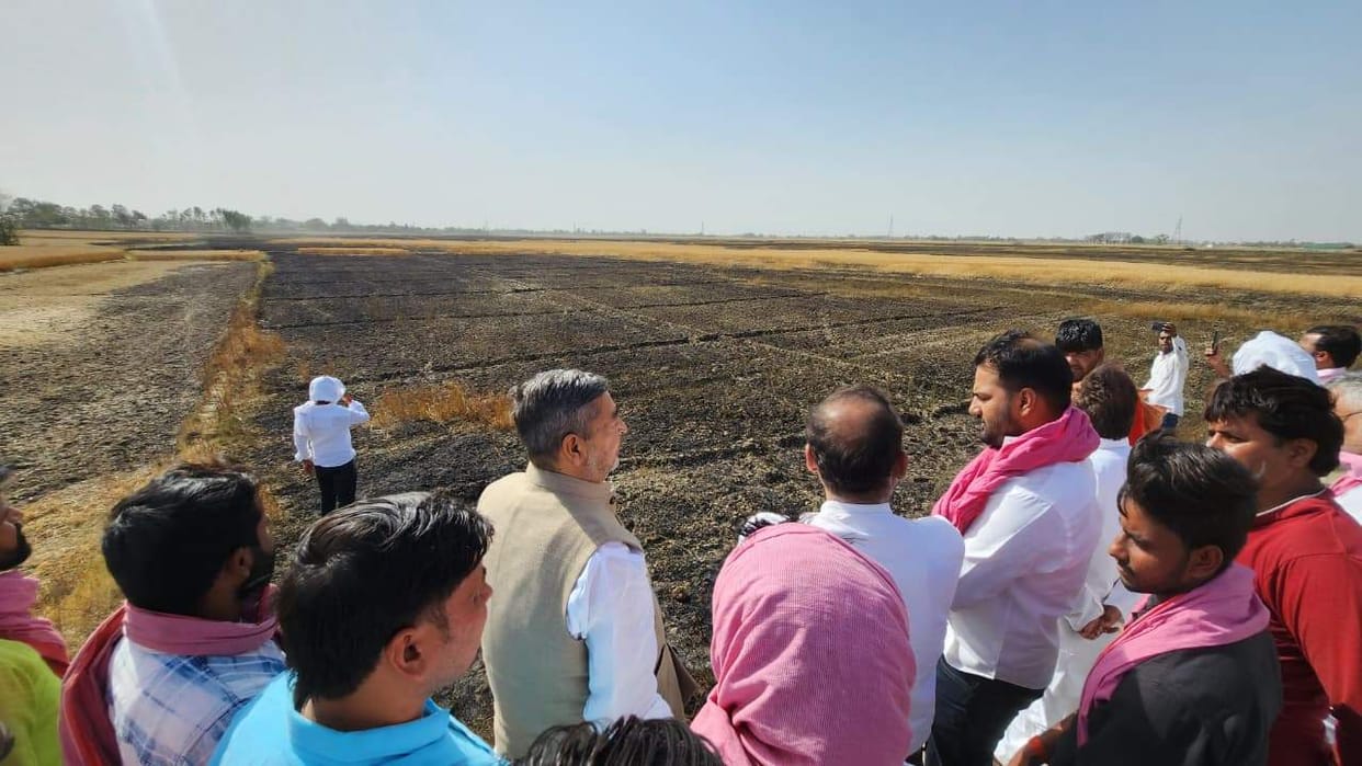 More than 203 bighas of wheat crop from 8 villages turned to ashes in one day