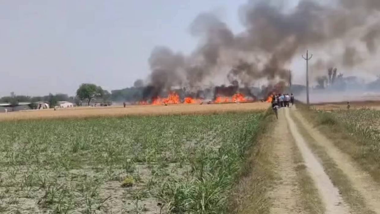 Five bighas of wheat crop burnt to ashes due to fire in Sarwanpur