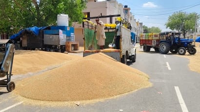 Farmers have become watchdogs, buyers are not coming.