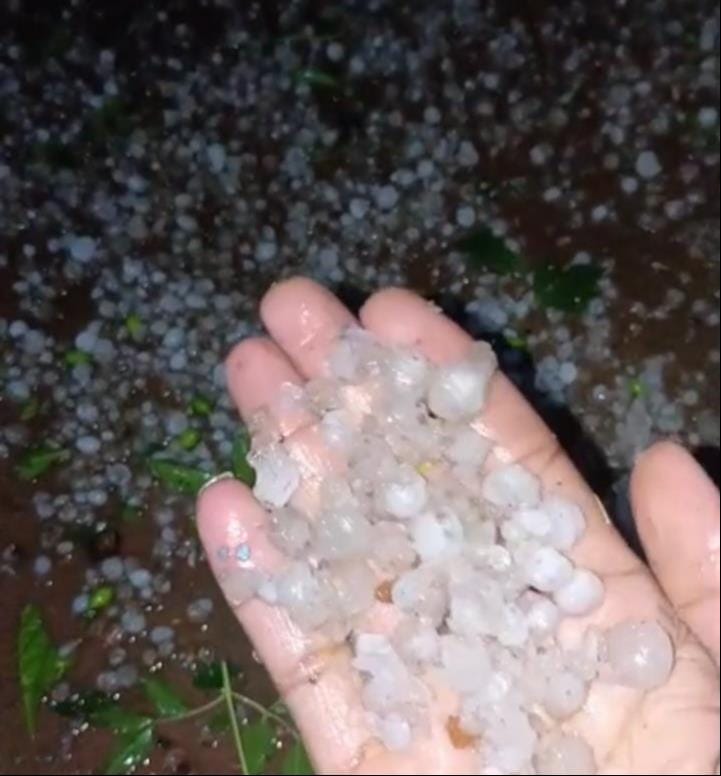 Hailstorm accompanies rain in Teetaron; wheat crop damaged.