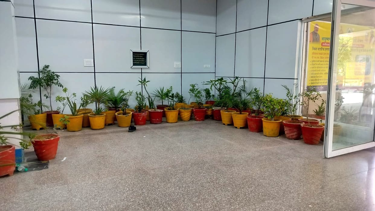 Patients are getting peace due to greenery in Civil Hospital