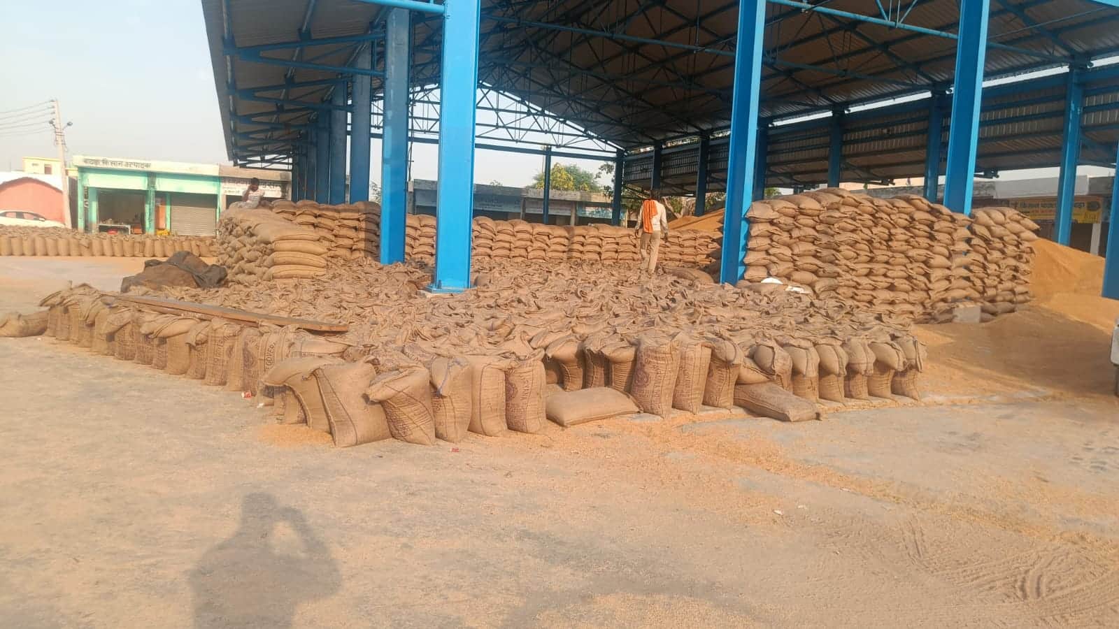 बाढड़ा कस्बे की अनाज मंडी में लगे गेहूं के बैग।