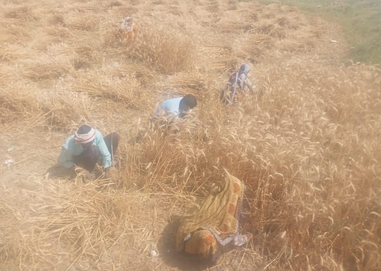 Temperature rose by 2.9 degrees in 24 hours, body scorched by heat waves in the afternoon