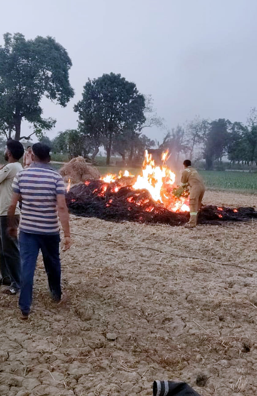 Three bighas of wheat crop destroyed in farm fire.