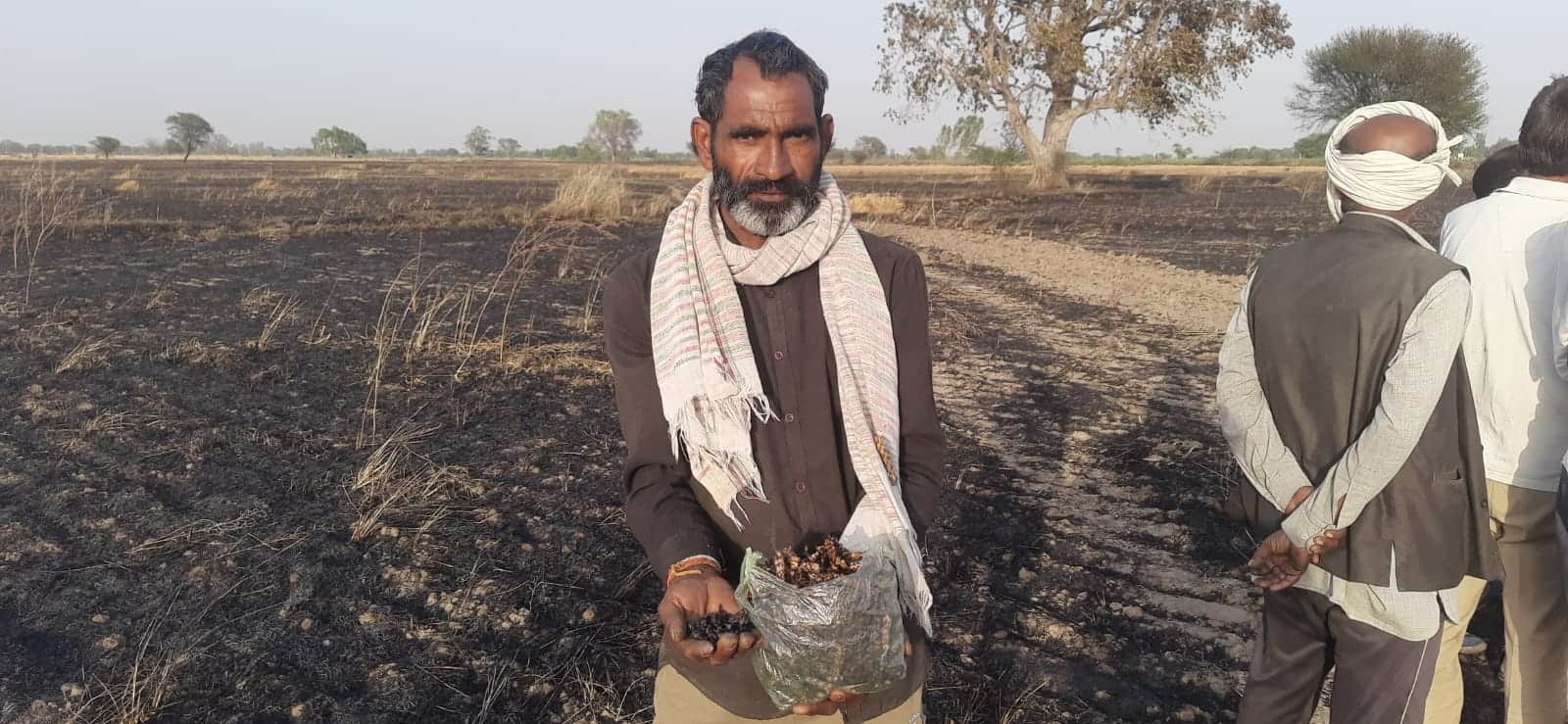 फोटो 12 एचएएमपी 26- उमरी गांव में जली गेहूं की बालियां दिखाता किसान। संवाद