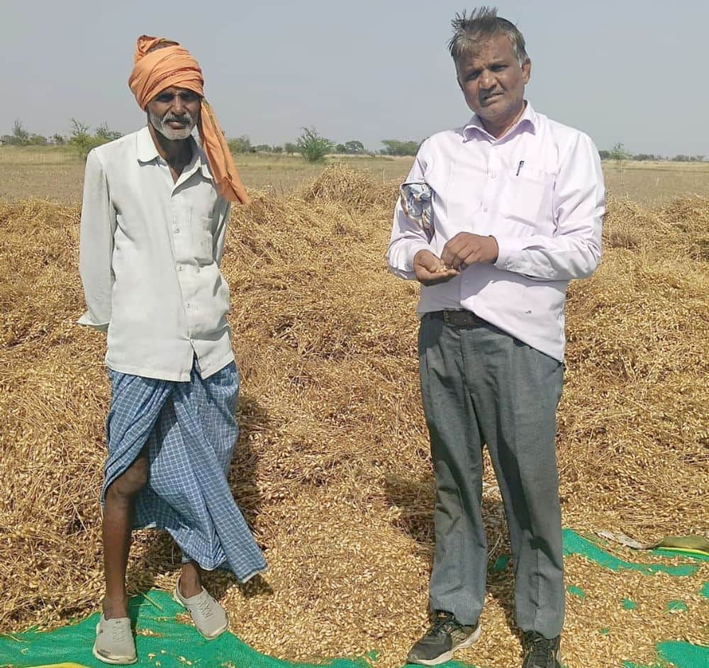 फोटो 12 एमएएचपी 11 परिचय-गहरा के किसान अर्जुन सिंह की चने की अंकुरित फसल का मुआयना कर जानकारी ल