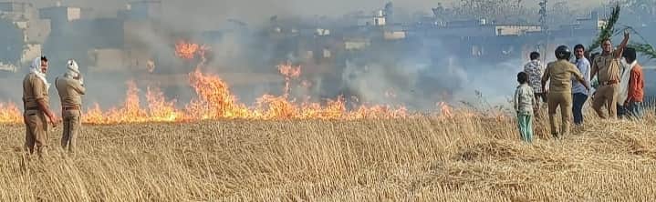 गोपाला एवं बरगदही में आग को बुझाते ग्रामीणों संग पुलिसकर्मी। 