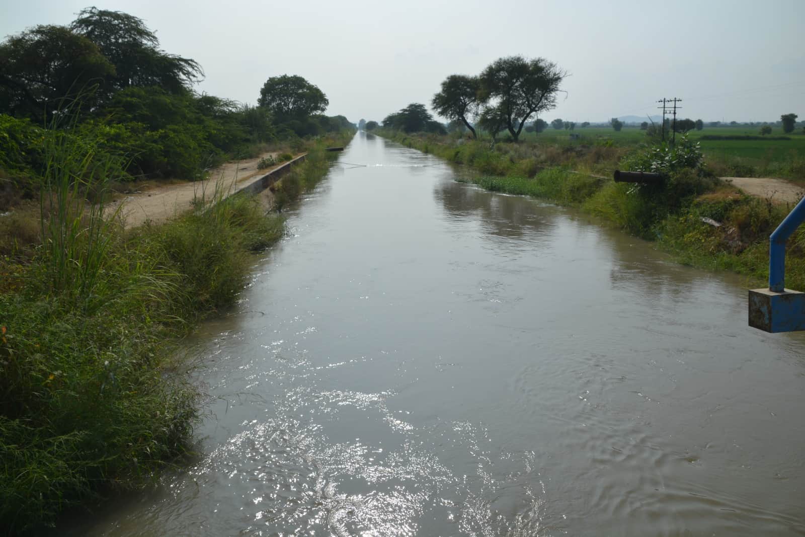 गांव रावलधी के समीप से गुजरती लोहारू कैनाल।