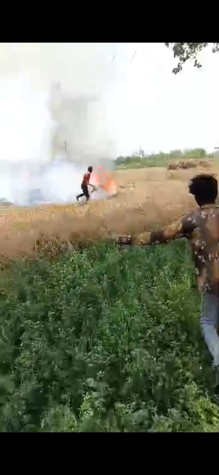An electric wire broke and fell on the crop, causing a fire.