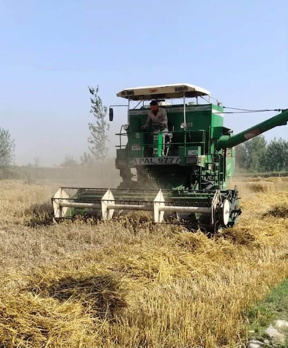 झिंझाना क्षेत्र में मशीन से गेहूं की कटाई करते हुए। संवाद