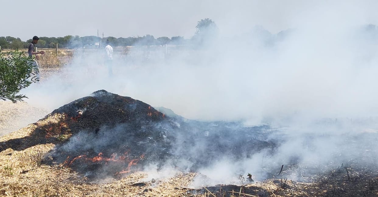 Villagers and fire brigade brought the fire in wheat stubble in Kanhra under control.