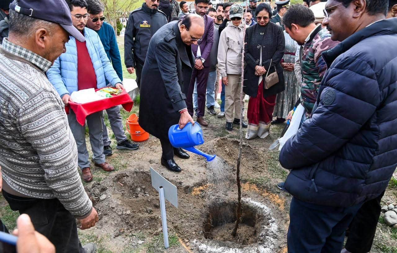 कारगिल में पौधारोपण अभियान के दौरान लद्दाख के उपराज्यपाल पौधे को पानी देते हुएस्रोत - सूचना वि
