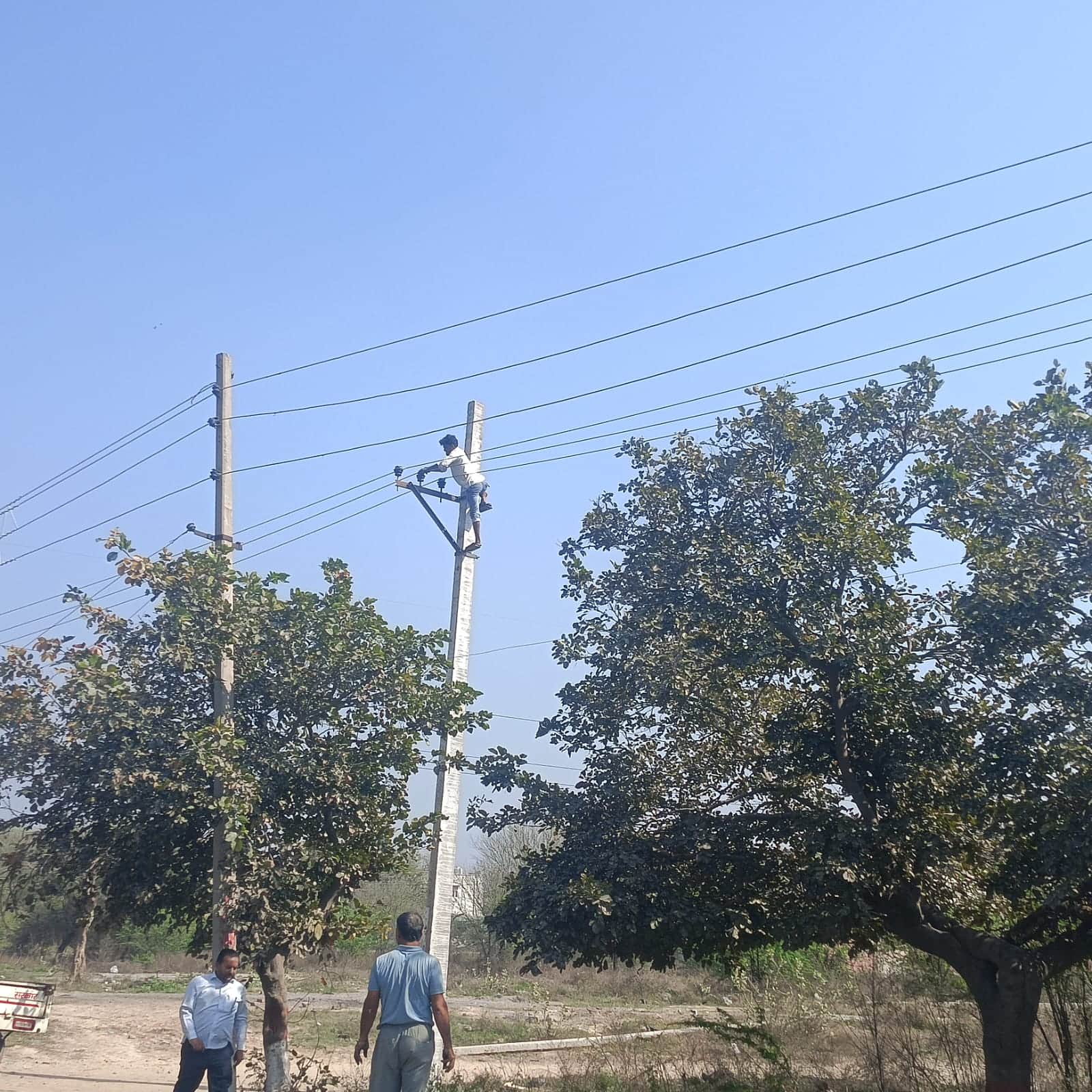 कैथल में लघु सचिवालय के पीछे बिजली की नई लाइन पर तार खींचते हुए कर्मचारी।