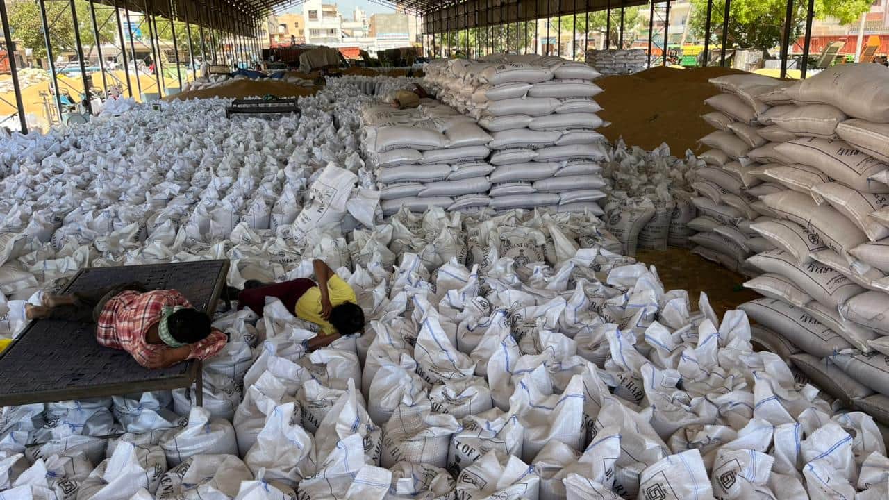  मंडी के अंदर खरीदी गई गेहूं के कट्टों पर आराम करते हुए किसान। संवाद