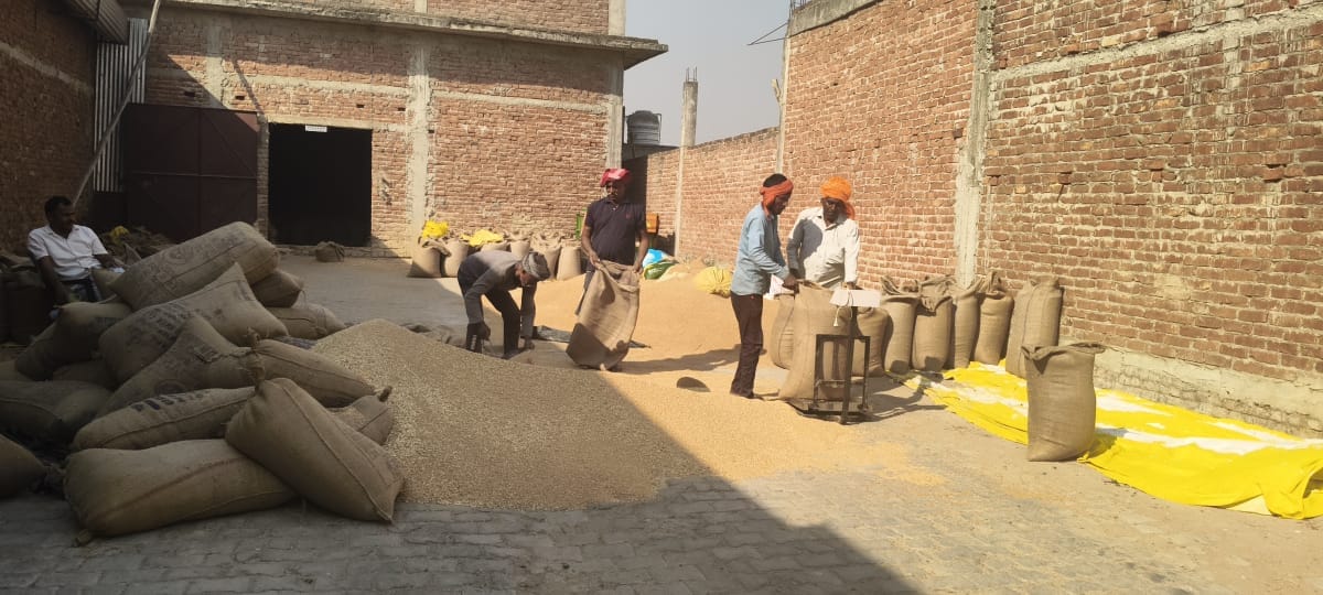 Wheat procurement slows down due to shortage of sacks, farmers worried