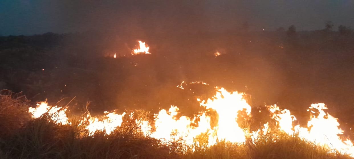 A massive fire in the ravines of Pidhaura reduced the greenery of 10 acres of area to ashes.