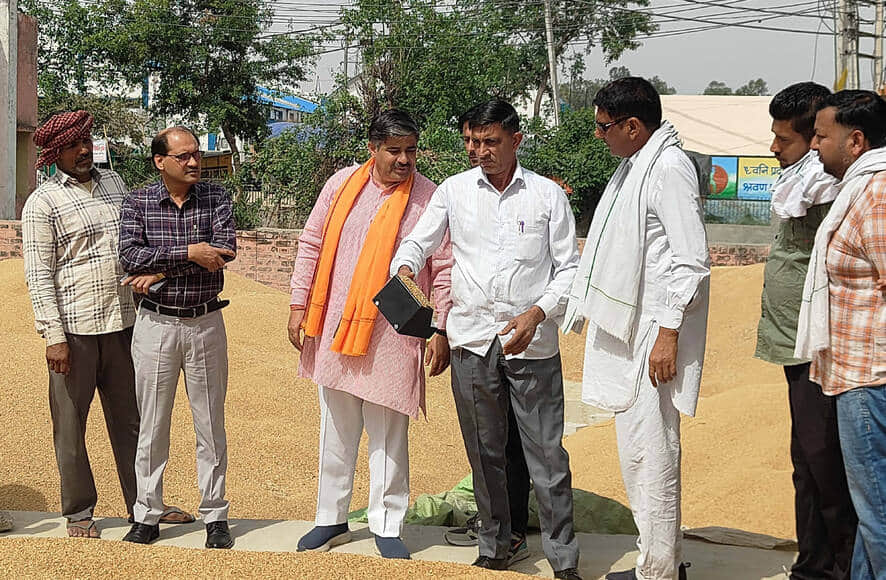 पाई मंडी में गेहूं खरीद शुरू करवाते चेयरमैन कृष्ण पिलनी।