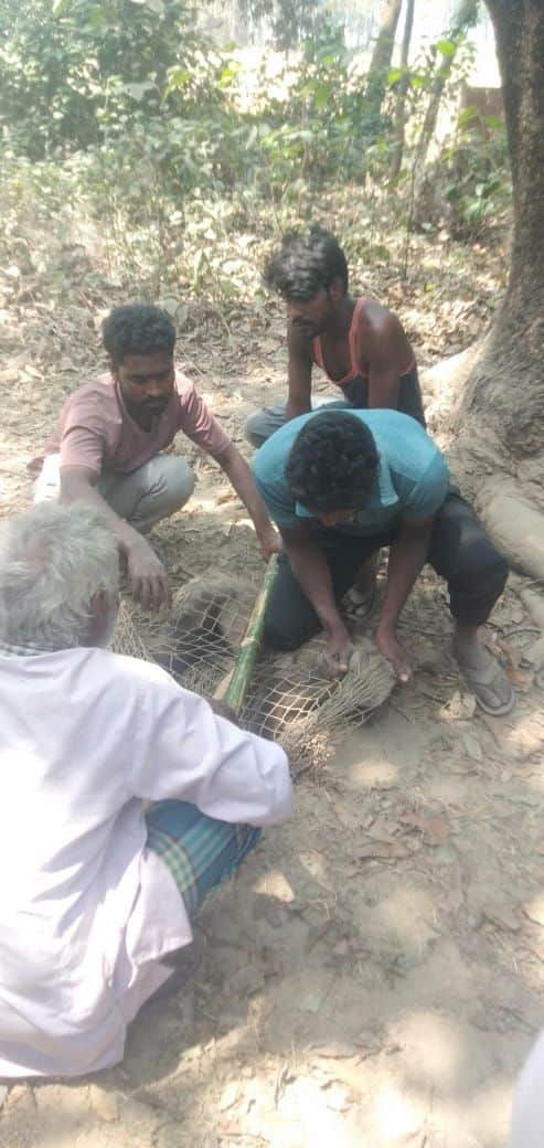 उत्पदाती बंदरों को पकड़ते लोग। सोशल मीडिया