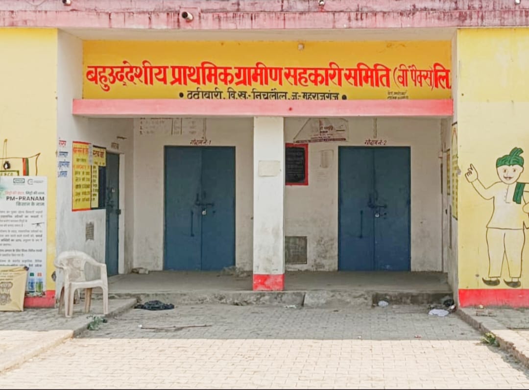 Maharajganj News: सहकारी समिति पर ताला...औने-पौने दाम पर गेहूं बेच रहे किसान