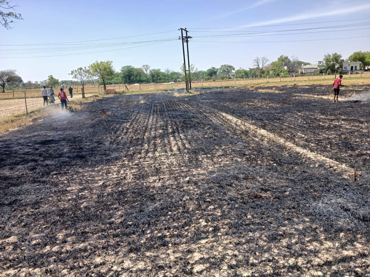Two Farmers Crop Residue by High-Tension Line