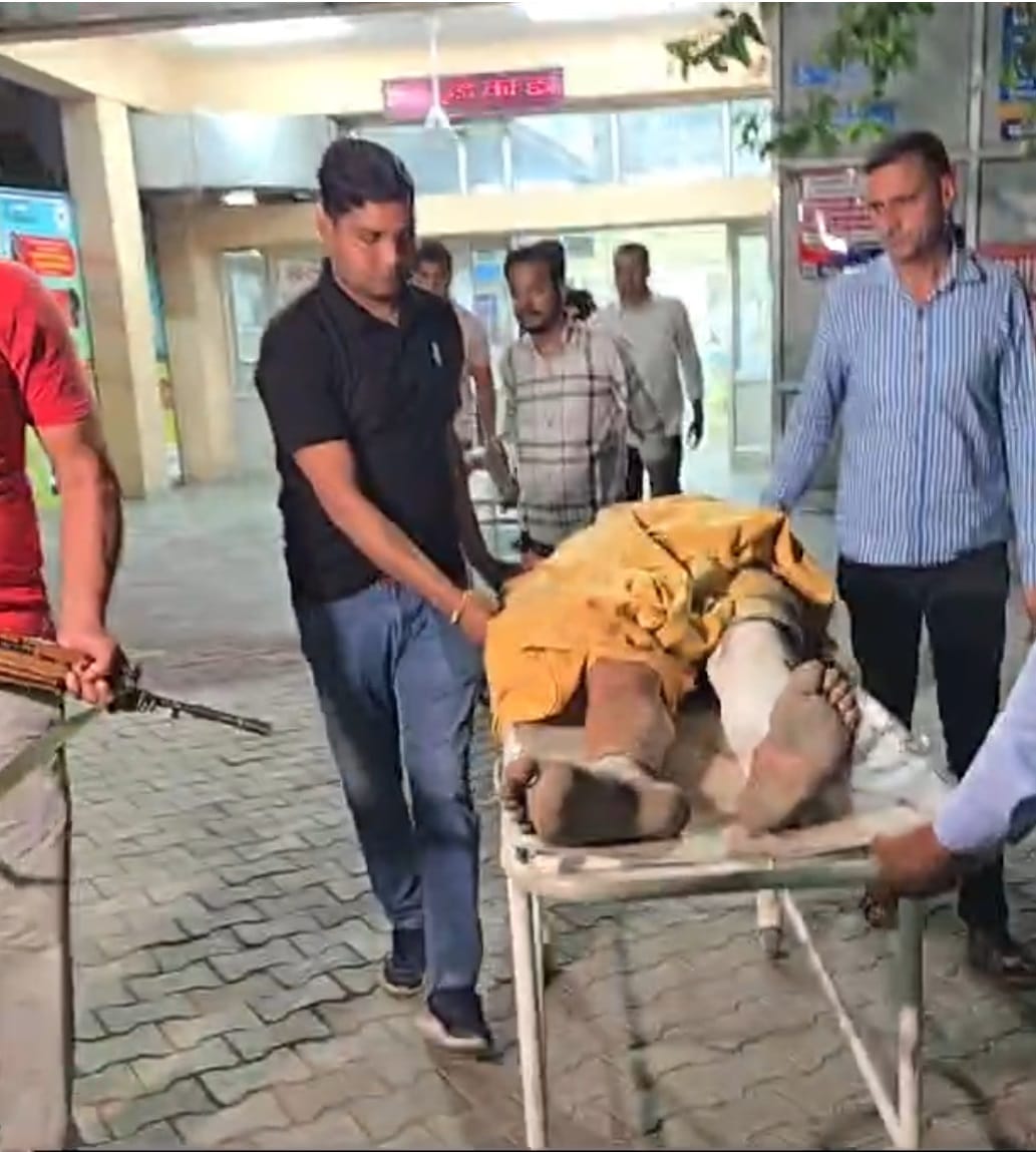 Two members of Deepak Nandal gang were shot in the leg during an encounter and were arrested.