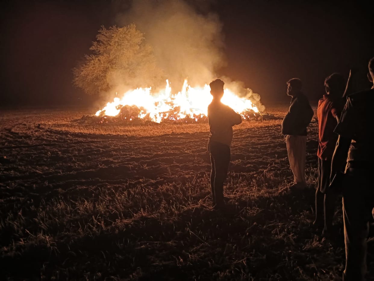 Four acres of wheat crop burnt to ashes in Jatusana fire