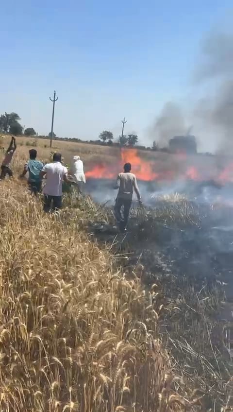 More than 22 acres of crops were destroyed by fire.