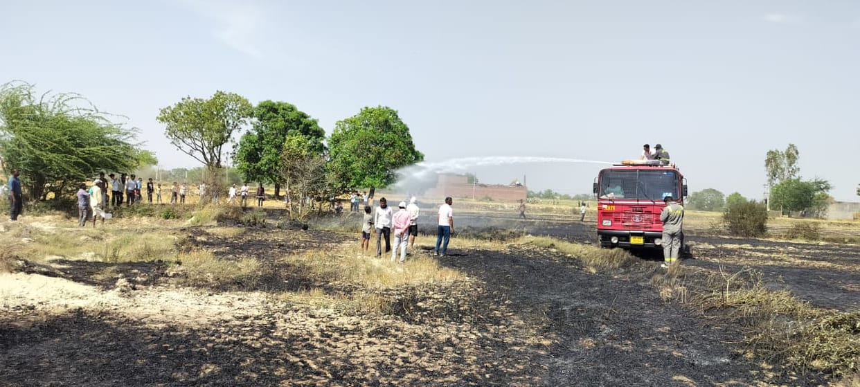 40 bigha wheat crop burnt due to spark from electric wires