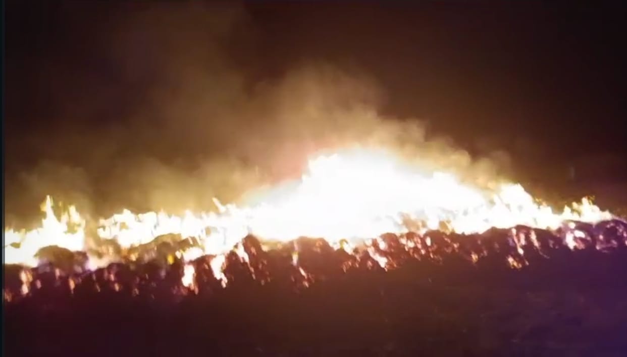 Five bighas of wheat crop was burnt due to fire